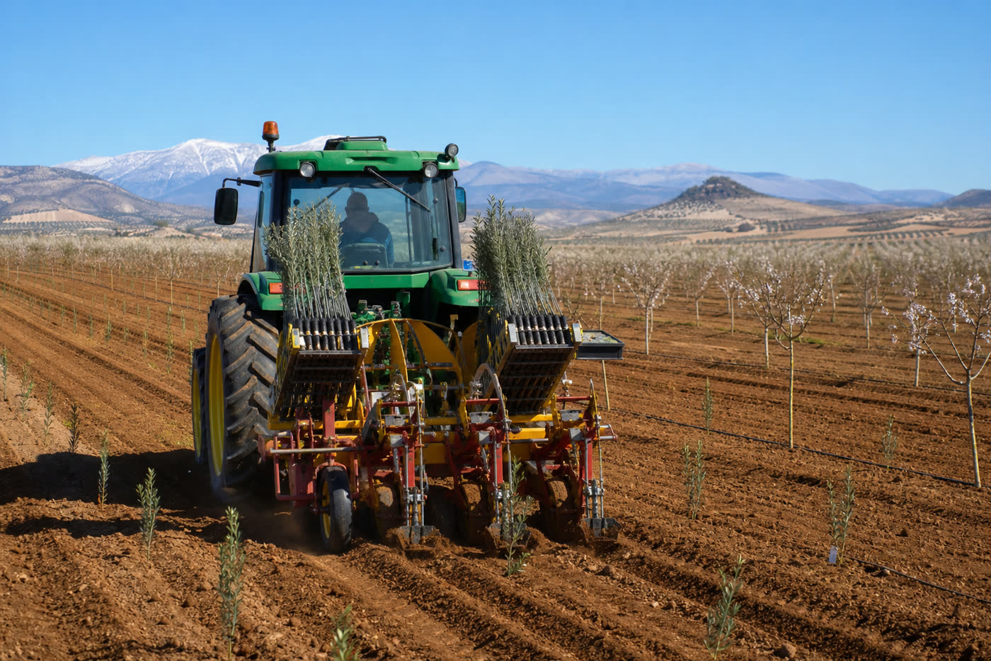 Tractor con plantadora trabajando en la zona de Baza